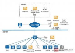 华为TE Desktop&amp;Mobile视频会议软终端支持哪些语言？